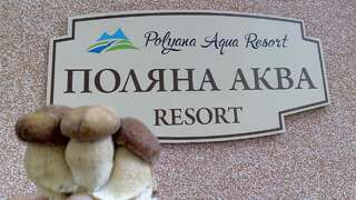 Гостевой дом Polyana Aqua Resort Поляна-4