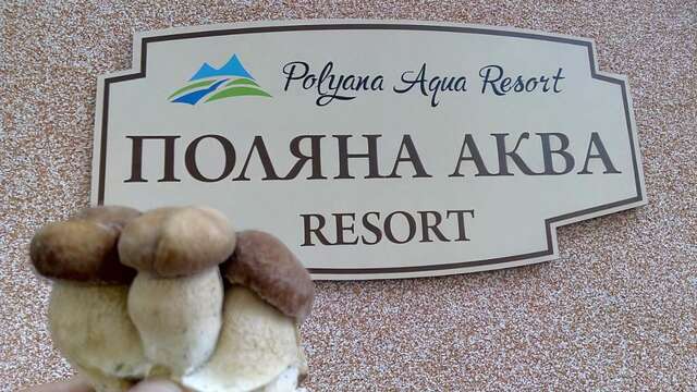 Гостевой дом Polyana Aqua Resort Поляна-7